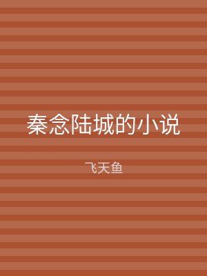 秦念陆城的小说