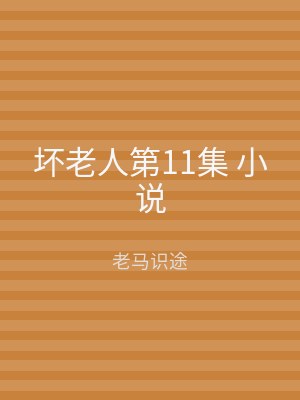 坏老人第11集 小说