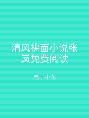 清风拂面小说张岚免费阅读