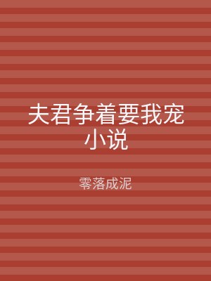 夫君争着要我宠小说