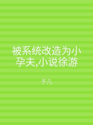 被系统改造为小孕夫,小说徐游