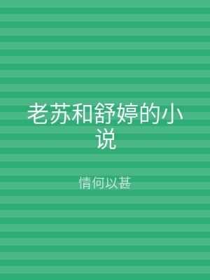 老苏和舒婷的小说