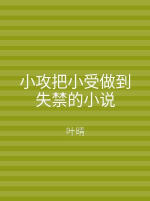 小攻把小受做到失禁的小说