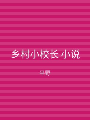 乡村小校长 小说