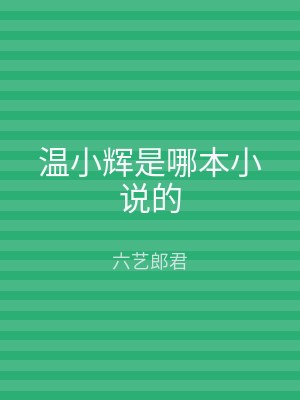 温小辉是哪本小说的