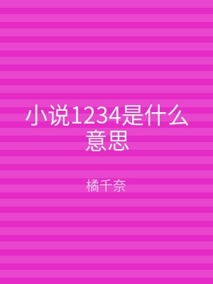 小说1234是什么意思