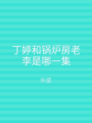 丁婷和锅炉房老李是哪一集