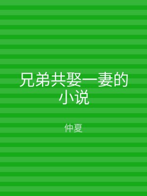 兄弟共娶一妻的小说