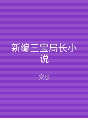 新编三宝局长小说
