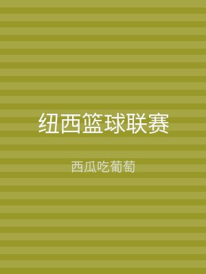 纽西篮球联赛