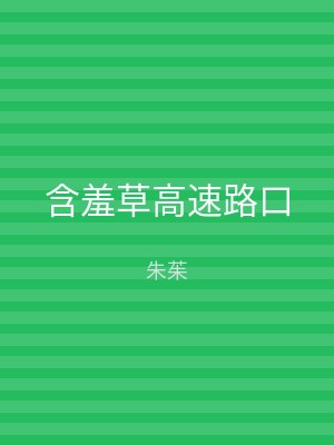 含羞草高速路口