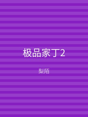 极品家丁2