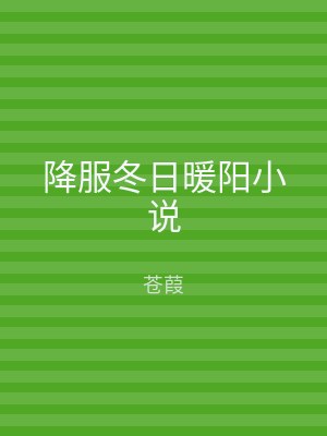 降服冬日暖阳小说