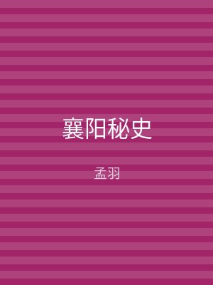 襄阳秘史