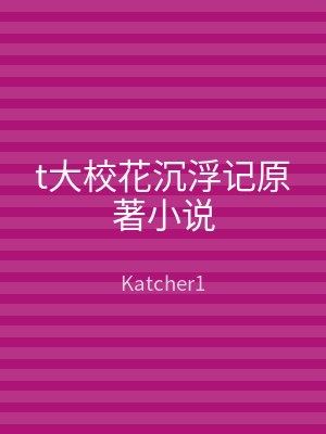 t大校花沉浮记原著小说