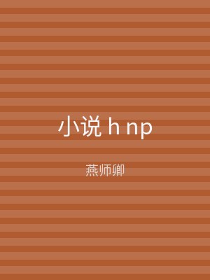 小说 h np