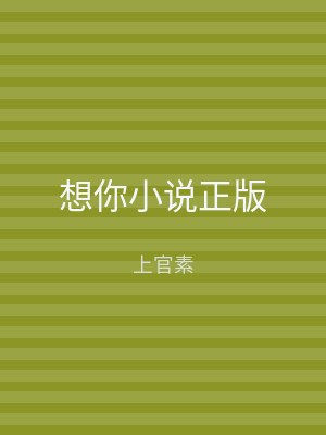 想你小说正版