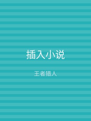 插入小说