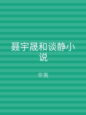 聂宇晟和谈静小说