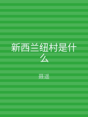 新西兰纽村是什么