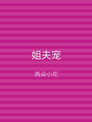 姐夫宠