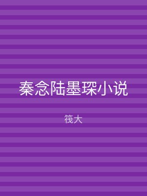 秦念陆墨琛小说