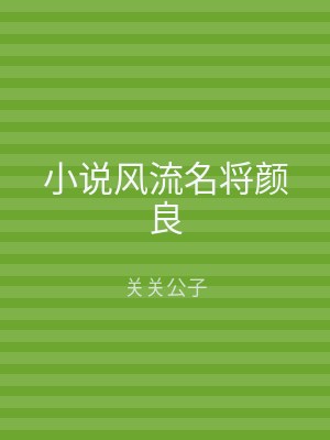 小说风流名将颜良