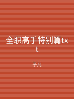 全职高手特别篇txt