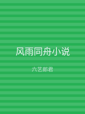 风雨同舟小说