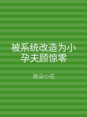 被系统改造为小孕夫顾惊零