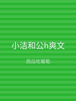 小洁和公h爽文