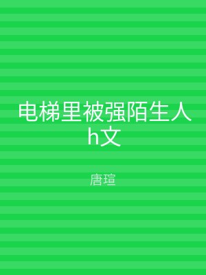 电梯里被强陌生人h文