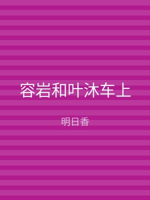 容岩和叶沐车上