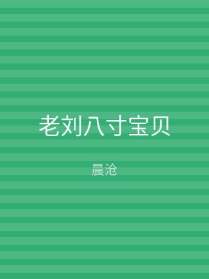 老刘八寸宝贝