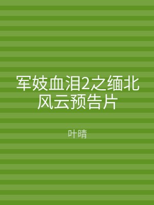 军妓血泪2之缅北风云预告片