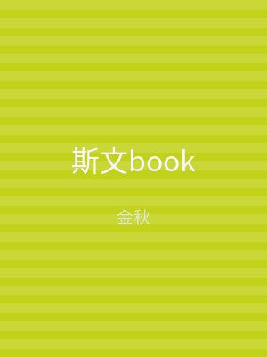 斯文book