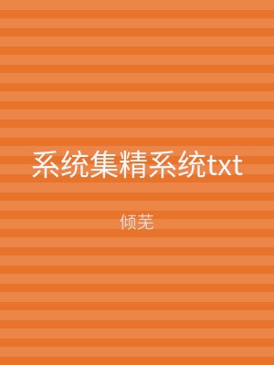 系统集精系统txt