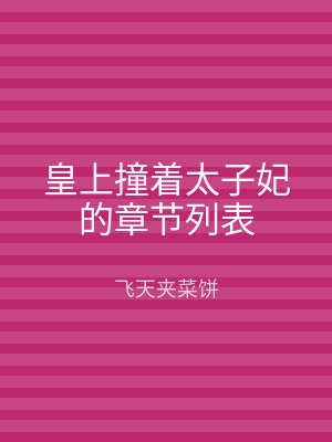 皇上撞着太子妃的章节列表