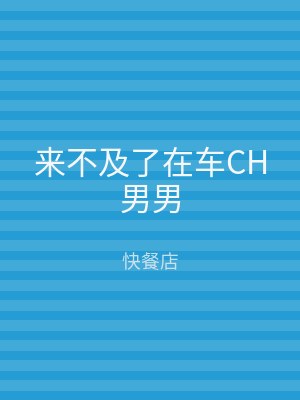 来不及了在车CH男男