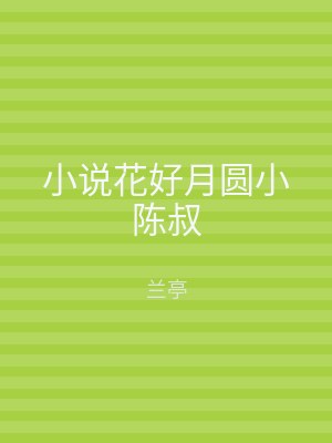 小说花好月圆小陈叔