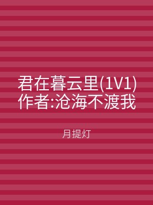 君在暮云里(1V1)作者:沧海不渡我