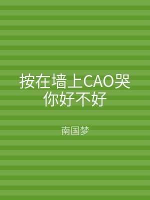 按在墙上CAO哭你好不好