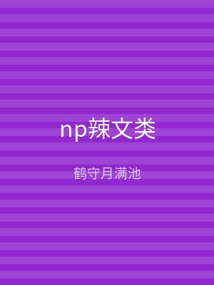 np辣文类