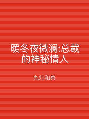暖冬夜微澜:总裁的神秘情人