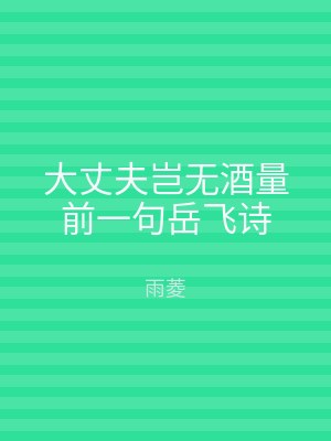 大丈夫岂无酒量前一句岳飞诗