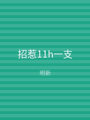 招惹11h一支