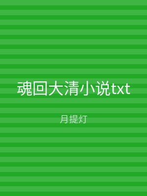 魂回大清小说txt
