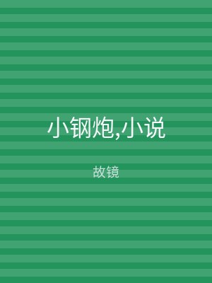 小钢炮,小说