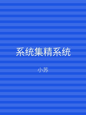 系统集精系统