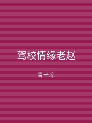 驾校情缘老赵